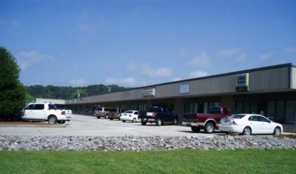 Primary Photo Of 64 Sailors Dr, Ellijay General Retail For Sale