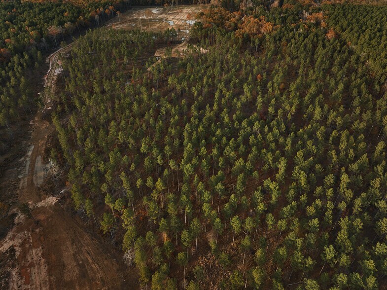 More Photos Of 480 Martin Rd, Cotton Valley Land For Sale