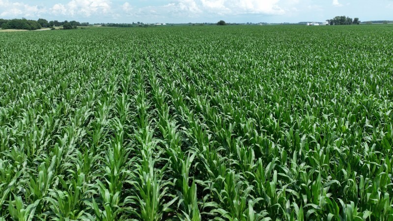 More Photos Of Tract 2 IA-92 Hwy, Ainsworth Land For Sale