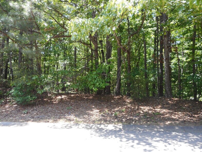 More Photos Of 00 Holly St, Canton Land For Sale