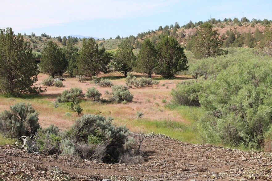 More Photos Of W 4th St, Alturas Land For Sale