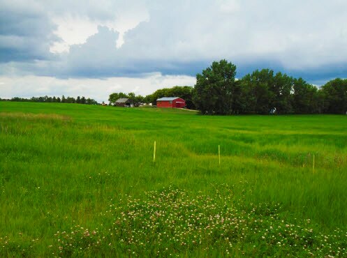 More Photos Of Range Road 281, Red Deer County Land For Sale
