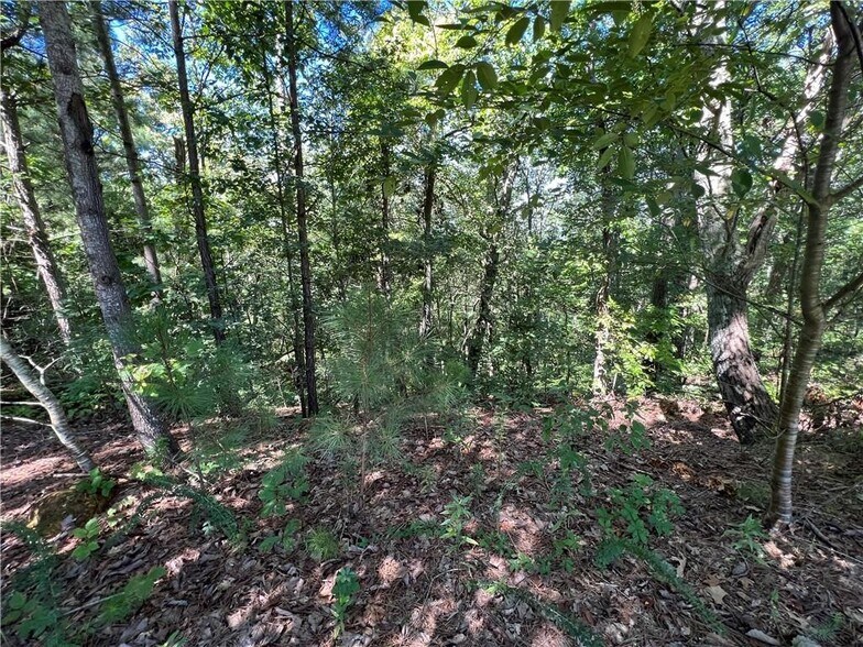 More Photos Of 16 Hawks Branch #123, White Land For Sale