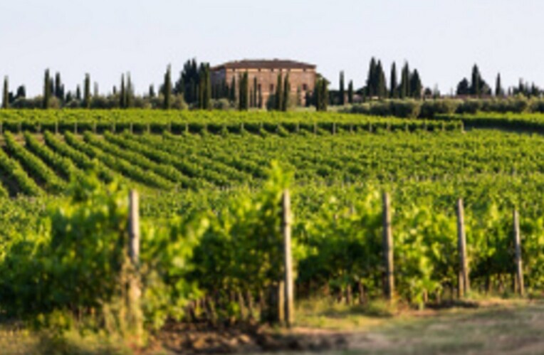 More Photos Of 1096 Hardman Ave, Napa Winery Vineyard For Sale