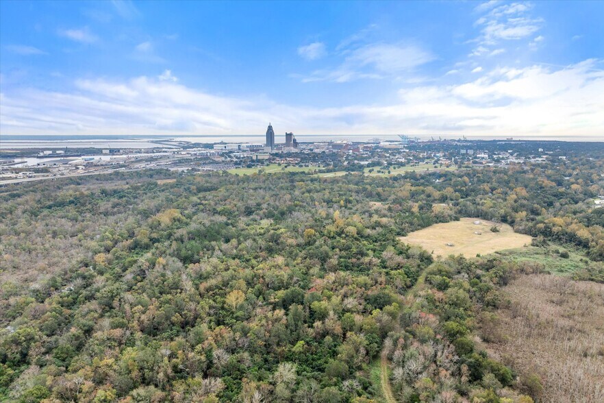 More Photos Of Conception Street Road, Mobile Land For Sale
