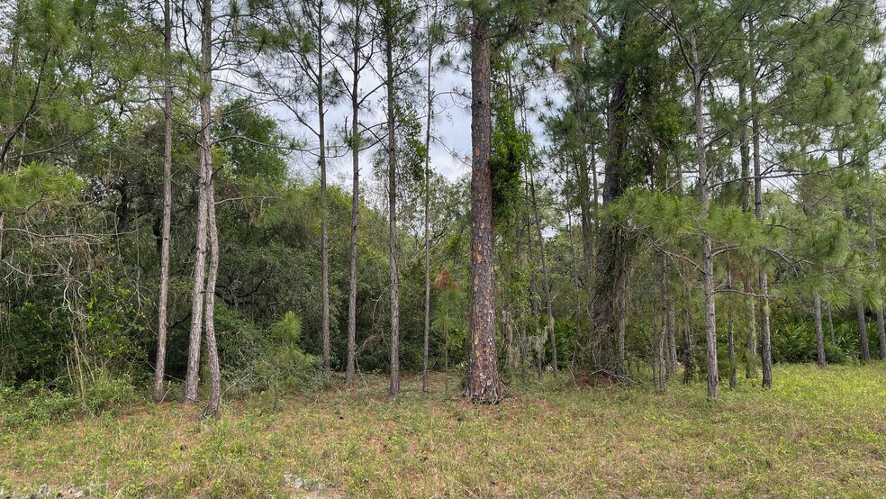 More Photos Of N Normandy @ South Ave, Deltona Land For Sale