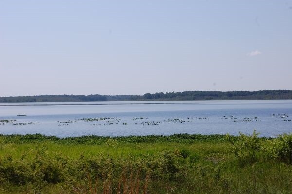 More Photos Of 7707 Holden Park Rd, Hawthorne Land For Sale