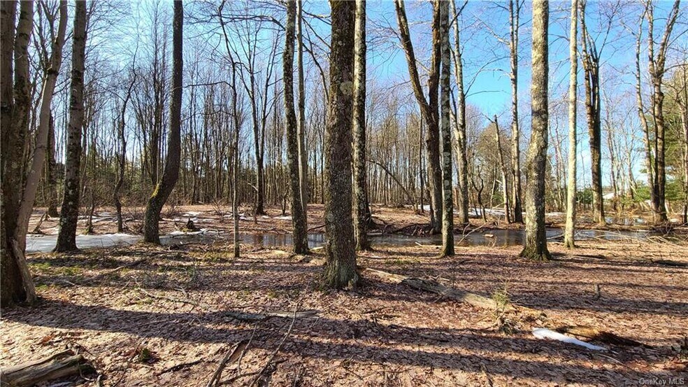 More Photos Of Kaufman Rd, Monticello Land For Sale