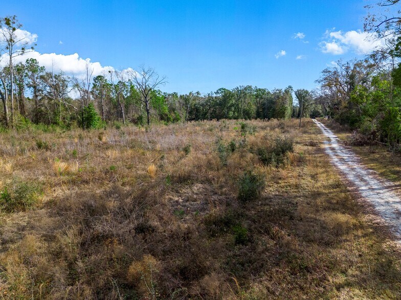 More Photos Of State Road 47, Lake City Land For Sale