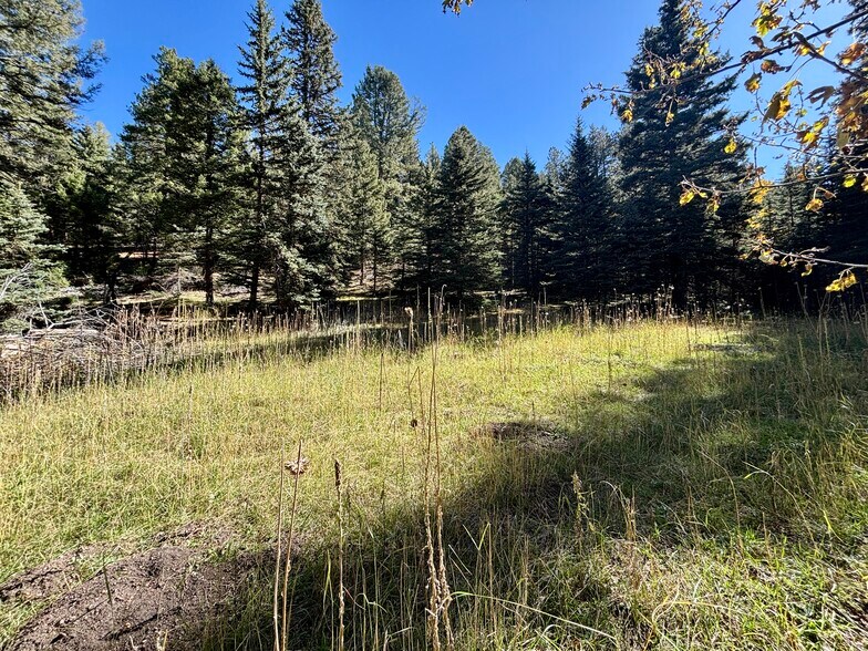 More Photos Of 12350 Powhatan Tr, Conifer Land For Sale