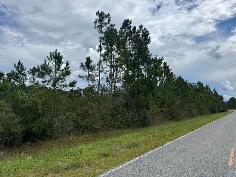 More Photos Of Noah Raulerson Road, Sanderson Land For Sale