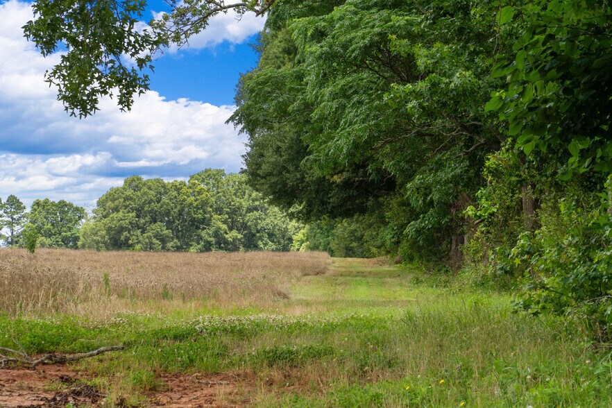 More Photos Of 1013 Amber Stapp Studdard Rd, Social Circle Land For Sale