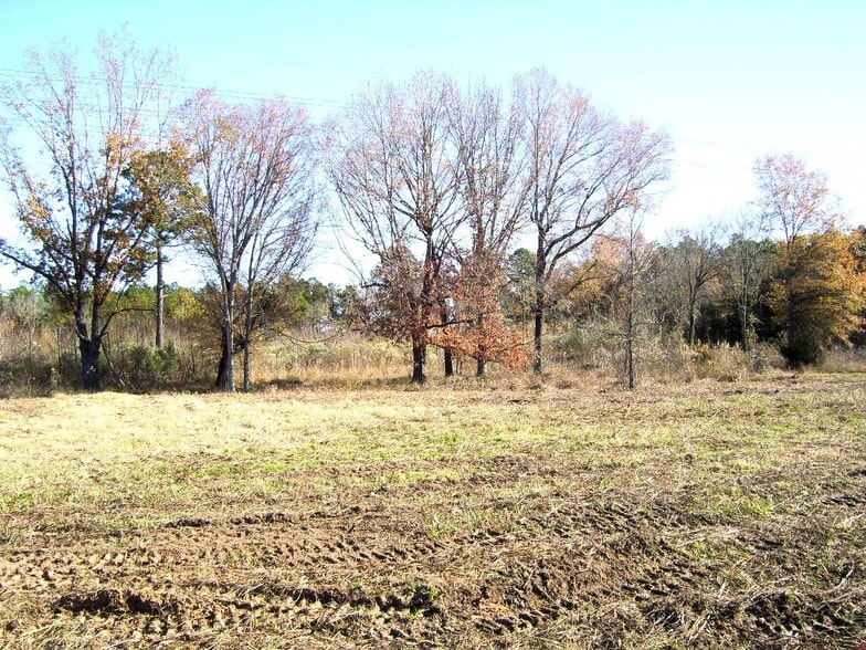 More Photos Of 680 U. S. 71 Hwy, Ashdown Land For Sale