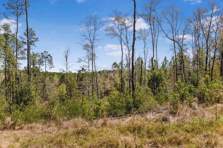 More Photos Of 7700 Iron Rush Rd, Wilmer Land For Sale