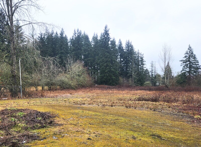 More Photos Of 202 NW 179th St, Ridgefield Land For Sale