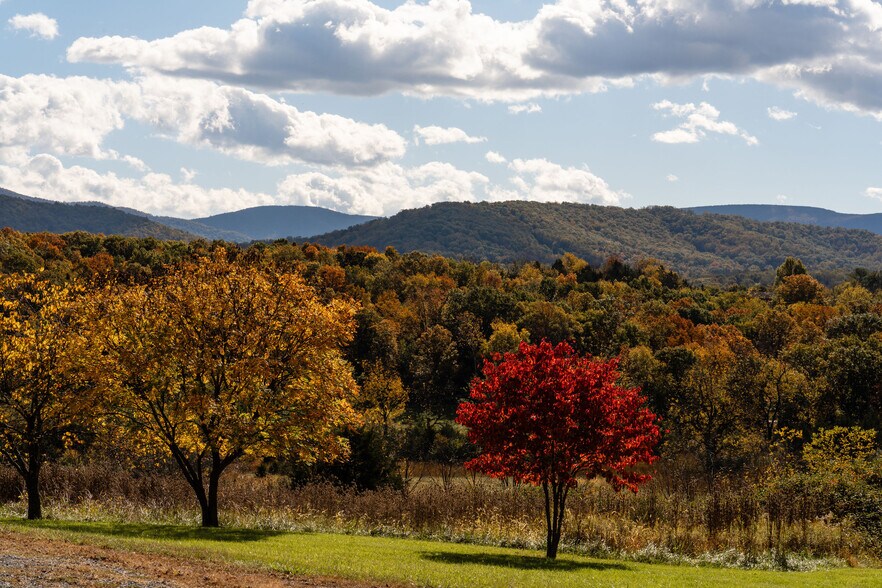 More Photos Of 461 Thunderbird Rd, Bentonville Land For Sale