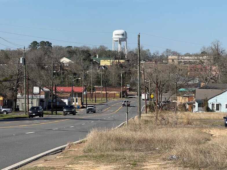 More Photos Of 505 Washington Ave, Livingston Land For Sale