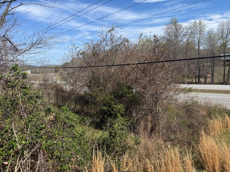 More Photos Of 0 Old Buncombe Road, Greenville Land For Sale