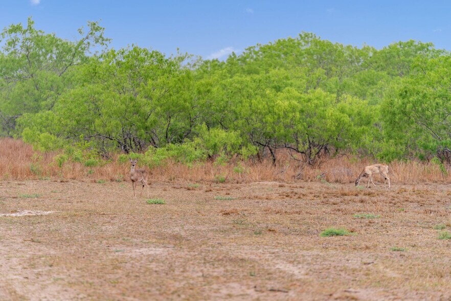 More Photos Of 141 S Private Road 1026, Kingsville Land For Sale