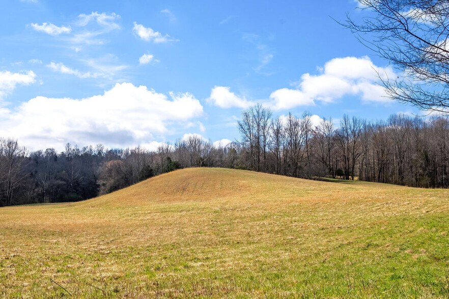 More Photos Of 0 Hwy 13, Linden Land For Sale