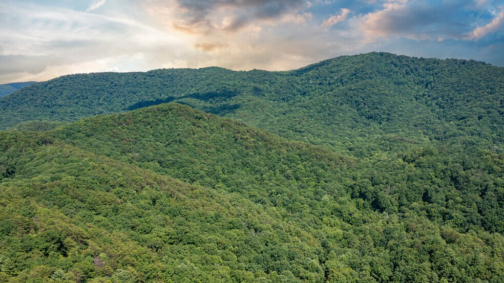 More Photos Of Mountain Cove Estates Rd, Cherry Log Land For Sale