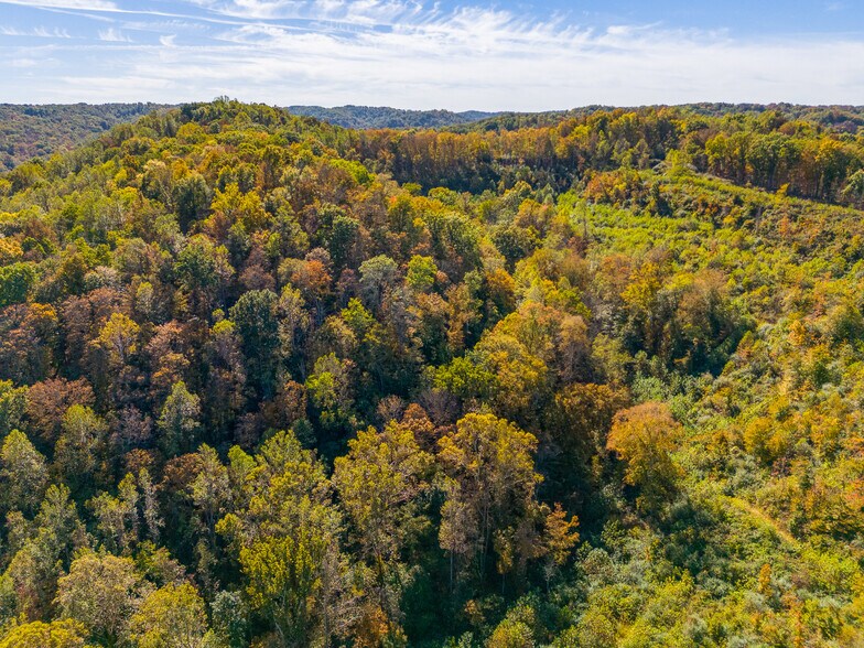 More Photos Of 5753 McClellan Hwy, Branchland Freestanding For Sale