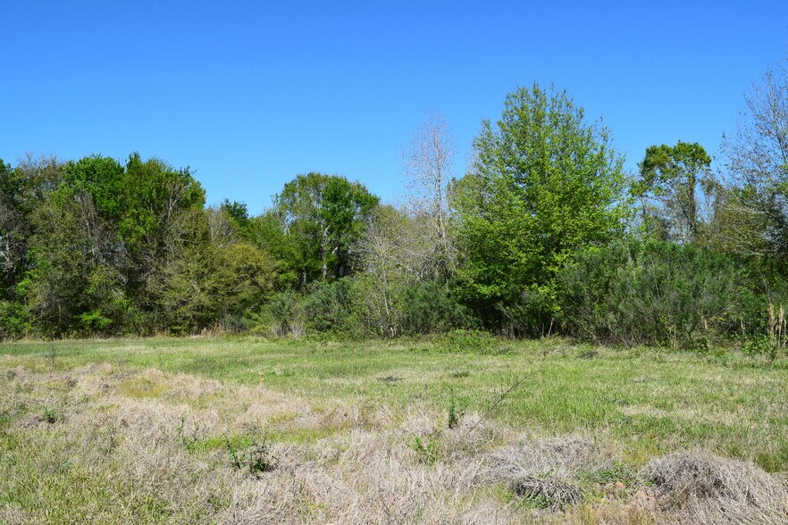 More Photos Of 899 Medic Lane, Alvin Land For Sale