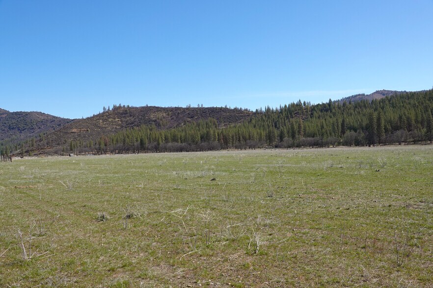 More Photos Of 3855 Scott River Rd, Fort Jones Land For Sale