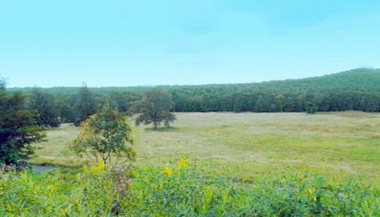 More Photos Of 1744 Route 611, Mount Pocono Land For Sale