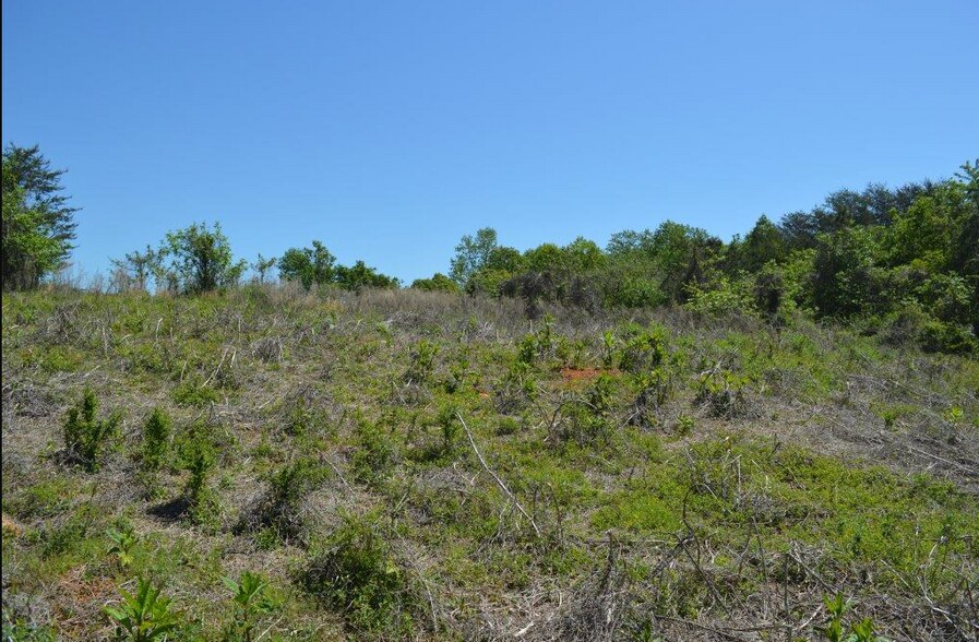 More Photos Of 00 Geer Hwy, Travelers Rest Land For Sale