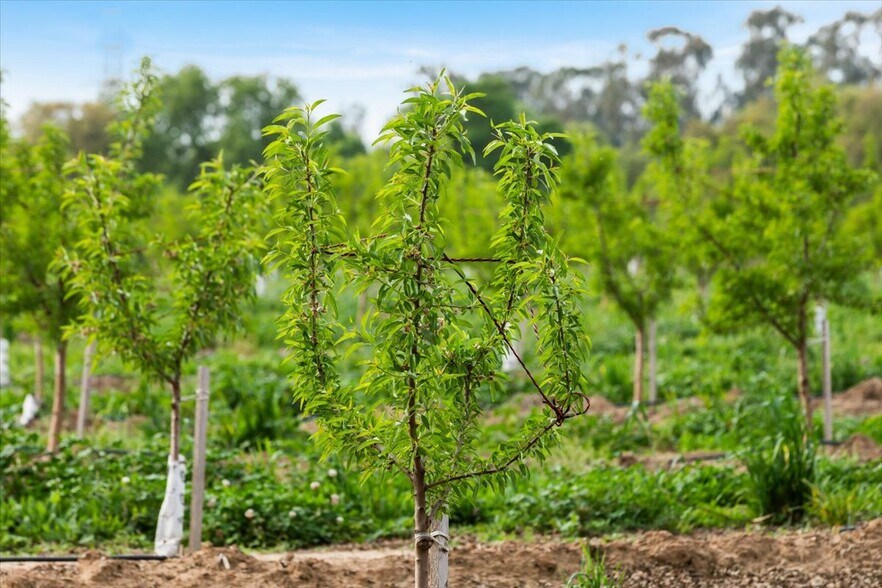 More Photos Of Albers Rd, Modesto Land For Sale