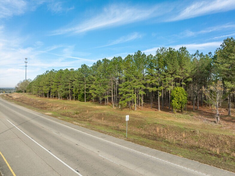 More Photos Of 1115 Evelyn Gandy Pky, Petal Land For Sale