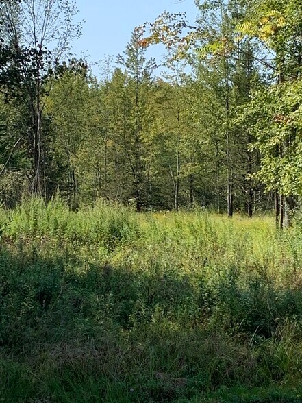 More Photos Of 00 Osprey Lane, Gardiner Land For Sale