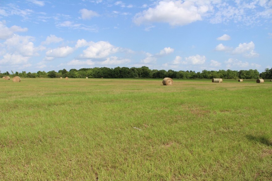 Primary Photo Of 20720 Cochran Rd, Prairie View Land For Sale