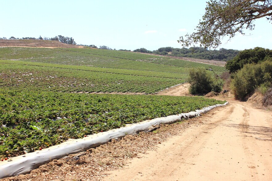 More Photos Of 16475 Blackie Rd, Salinas Land For Sale