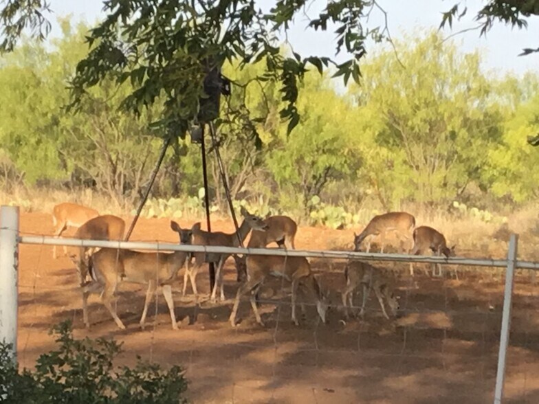 More Photos Of 629 Elliott Rd, London Land For Sale