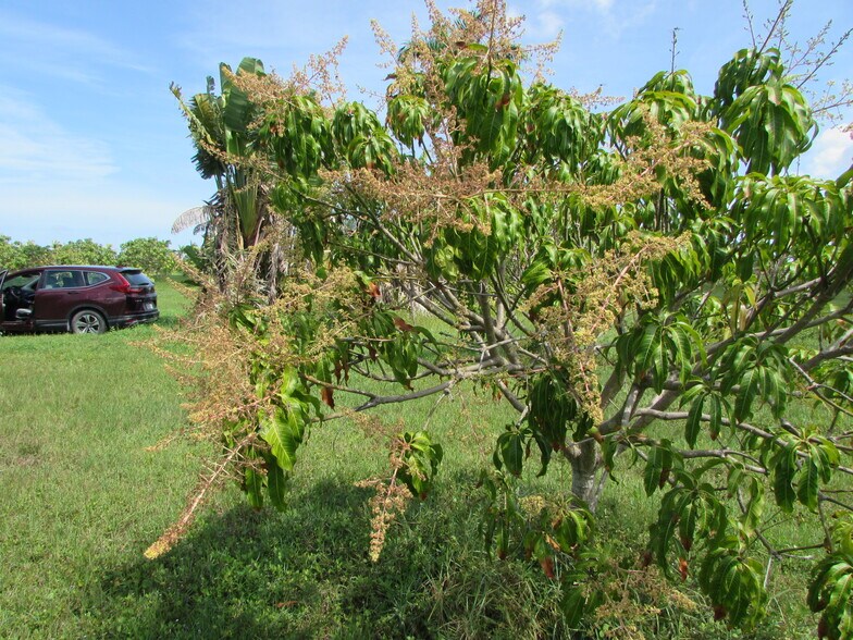 More Photos Of 9000 Stringfellow Rd, Saint James City Land For Sale