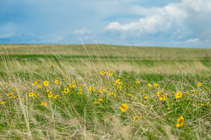 More Photos Of Squirrel Creek Road, Colorado Springs Land For Sale