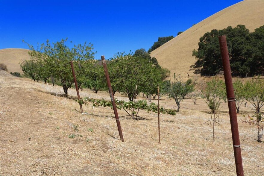 More Photos Of 32800 Johnson Canyon Rd, Gonzales Land For Sale