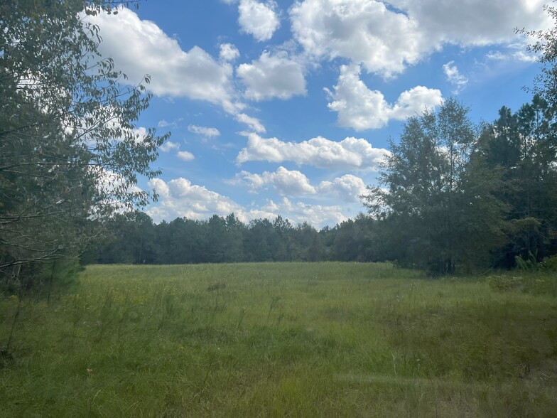 More Photos Of 627 Buford Rd, Arabi Land For Sale