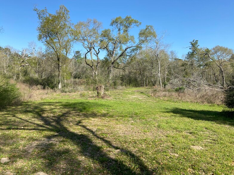 More Photos Of 24030 Hegar Rd, Hockley Land For Sale