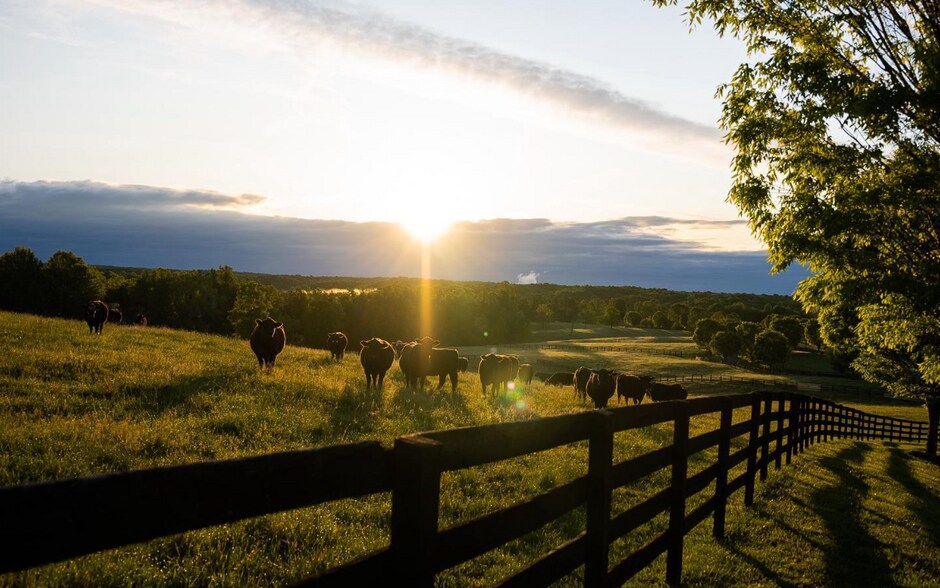 More Photos Of 6887 Blenheim Rd, Scottsville Land For Sale