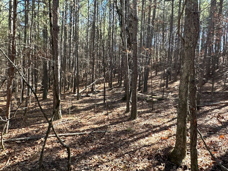 More Photos Of 3472 Prior Station Rd, Cedartown Land For Sale