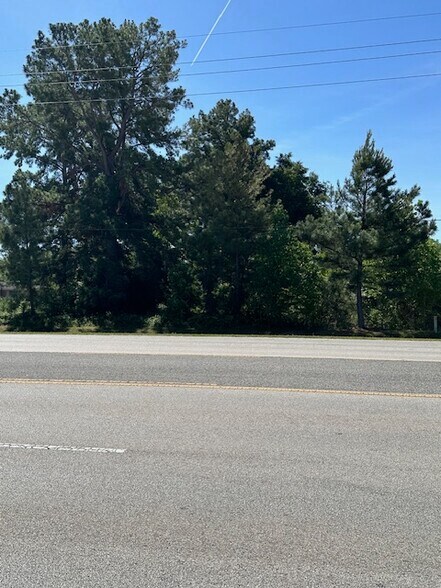 More Photos Of 2609 Spring Cypress Rd, Spring Land For Sale