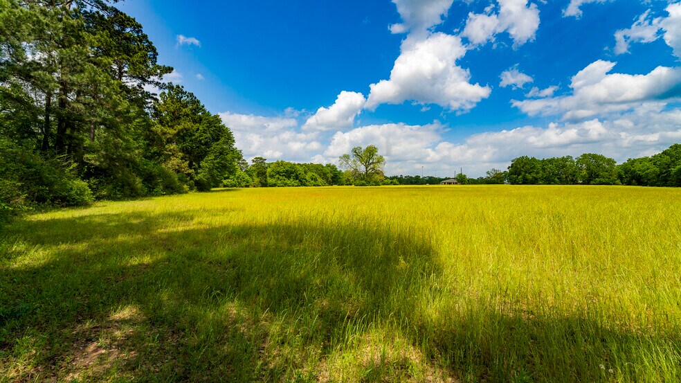 More Photos Of 000 Farm to Market Road 1488, Magnolia Land For Sale