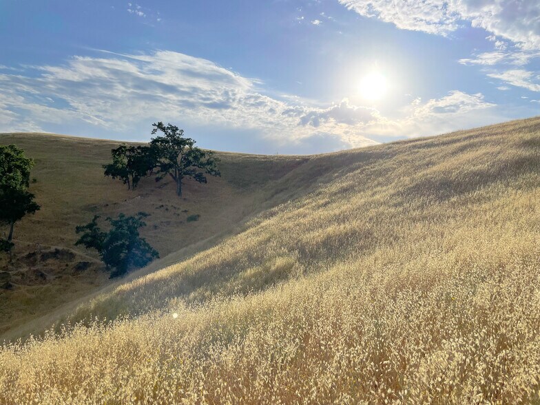 More Photos Of 0 E. 41 Hwy, Templeton Land For Sale