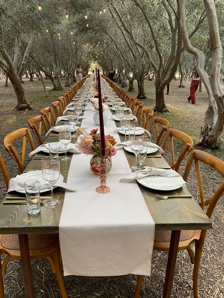 More Photos Of 46780 CA-371, Aguanga Winery Vineyard For Sale