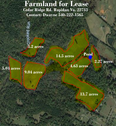 Primary Photo Of 24134 Cedar Ridge Rd, Rapidan Land For Lease