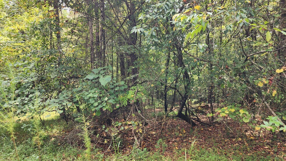 More Photos Of 1661 Friendship Rd, Hoschton Land For Sale