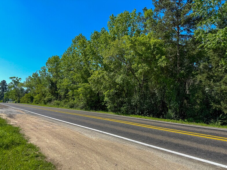 More Photos Of State Highway 75 South, Huntsville Land For Sale